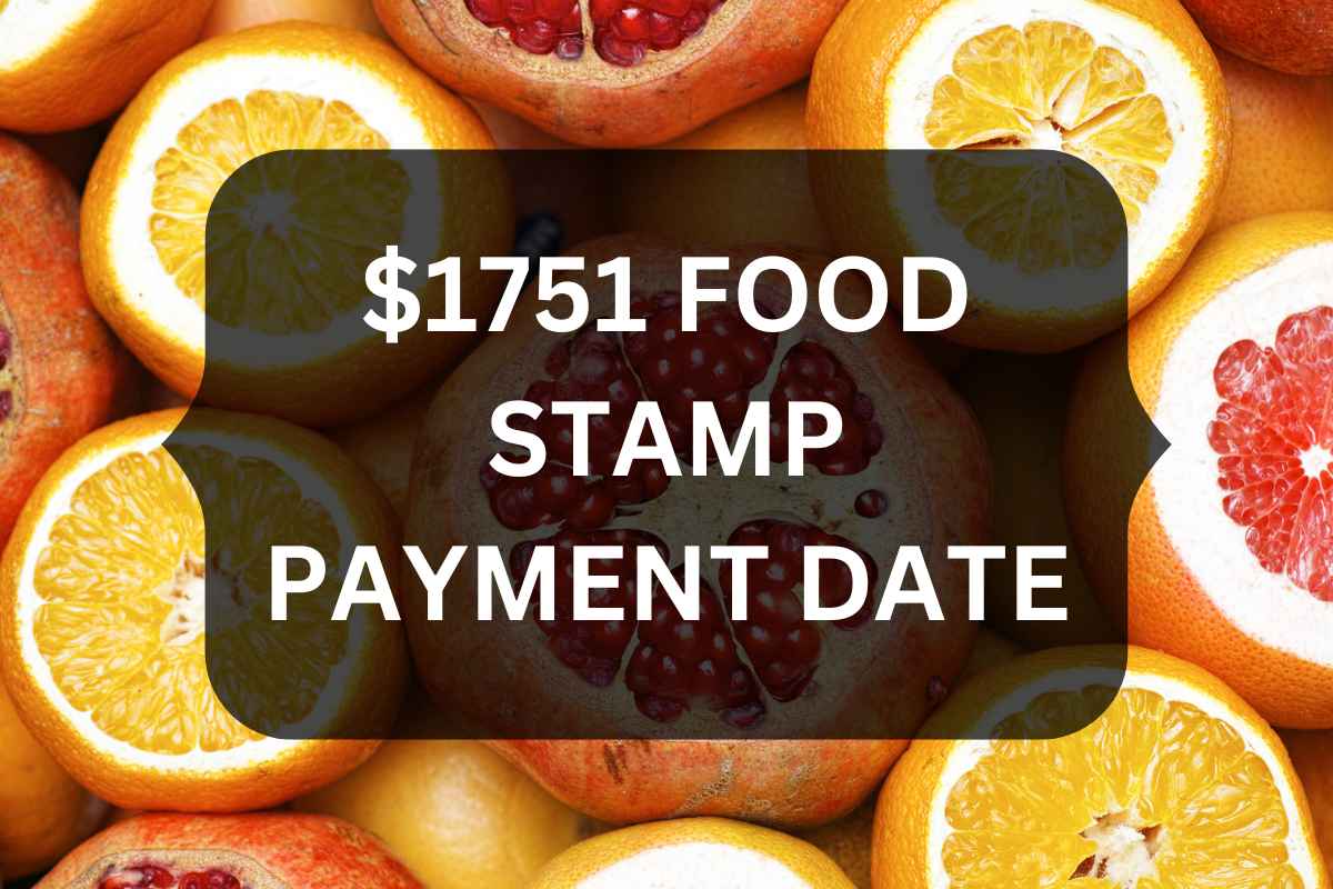 1 751 SNAP Payment Date 2024 Check Who Is Eligible For Food