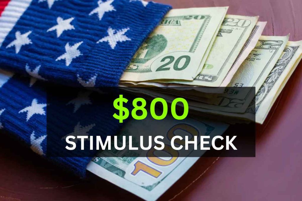 800 Stimulus Checks 2024 For SSDI & Medicare, Who Is Eligible