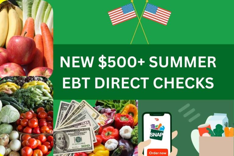 New 500+ Summer EBT Direct Checks May 2024 Check Who Is Eligible