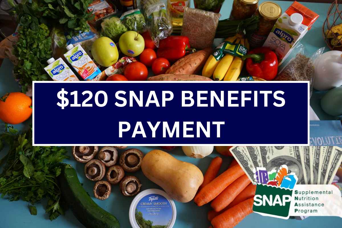 120 SNAP Benefits Payment June 2024 Check States, Payment Dates