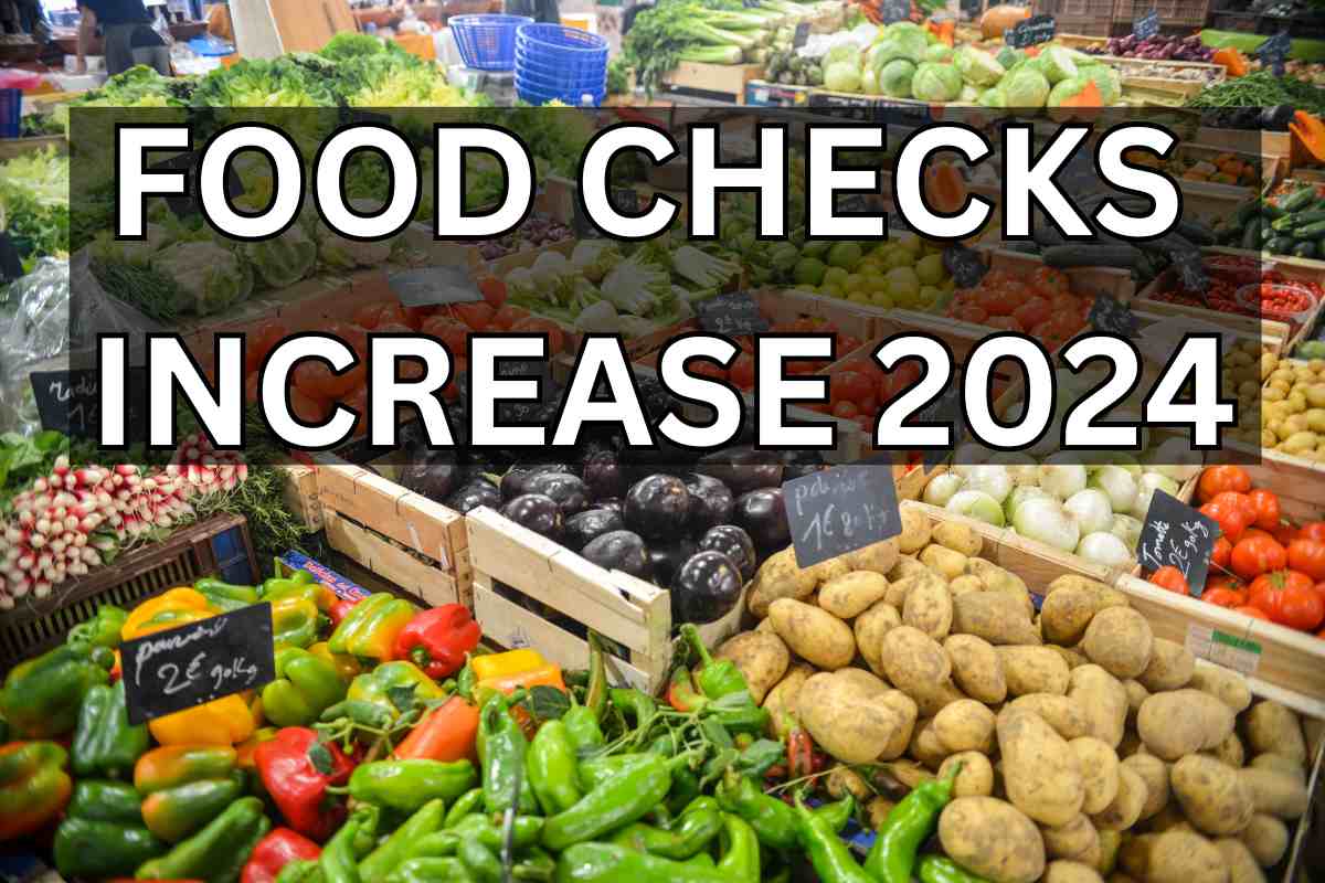 Food Checks Increase 2024 SNAP Increase Amount & Food Stamp Eligibility