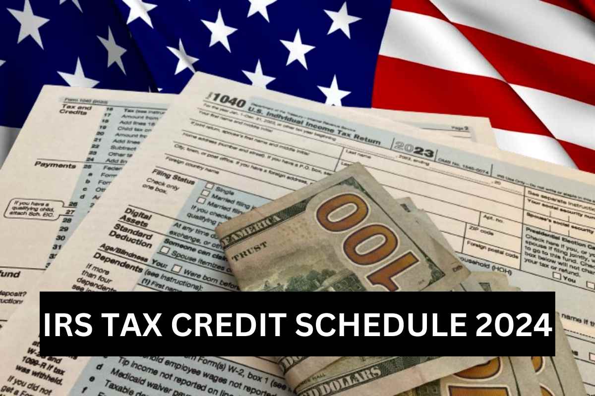 IRS Tax Credit Schedule 2024 Credit Eligibility & Payment Dates Check