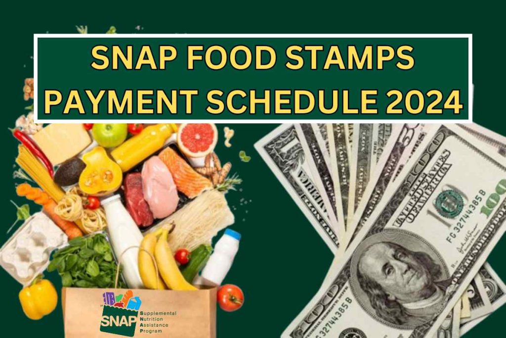 Snap Food Stamps 2024 Marci Ruthann