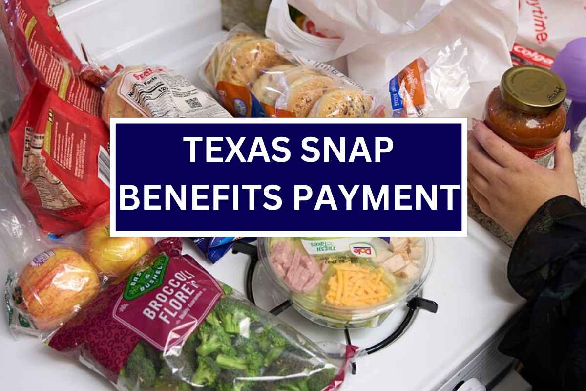 Texas SNAP Benefits Payment June 2024 Check Eligibility & Payment Dates