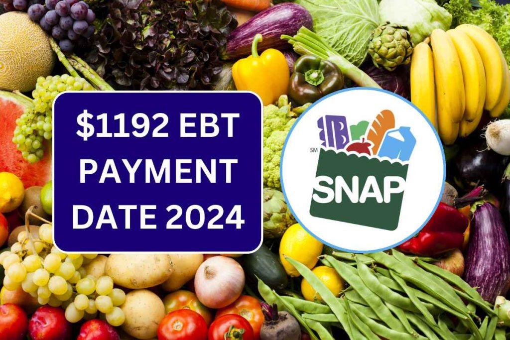 $1192 EBT Payment Date 2024 - Know Eligibility