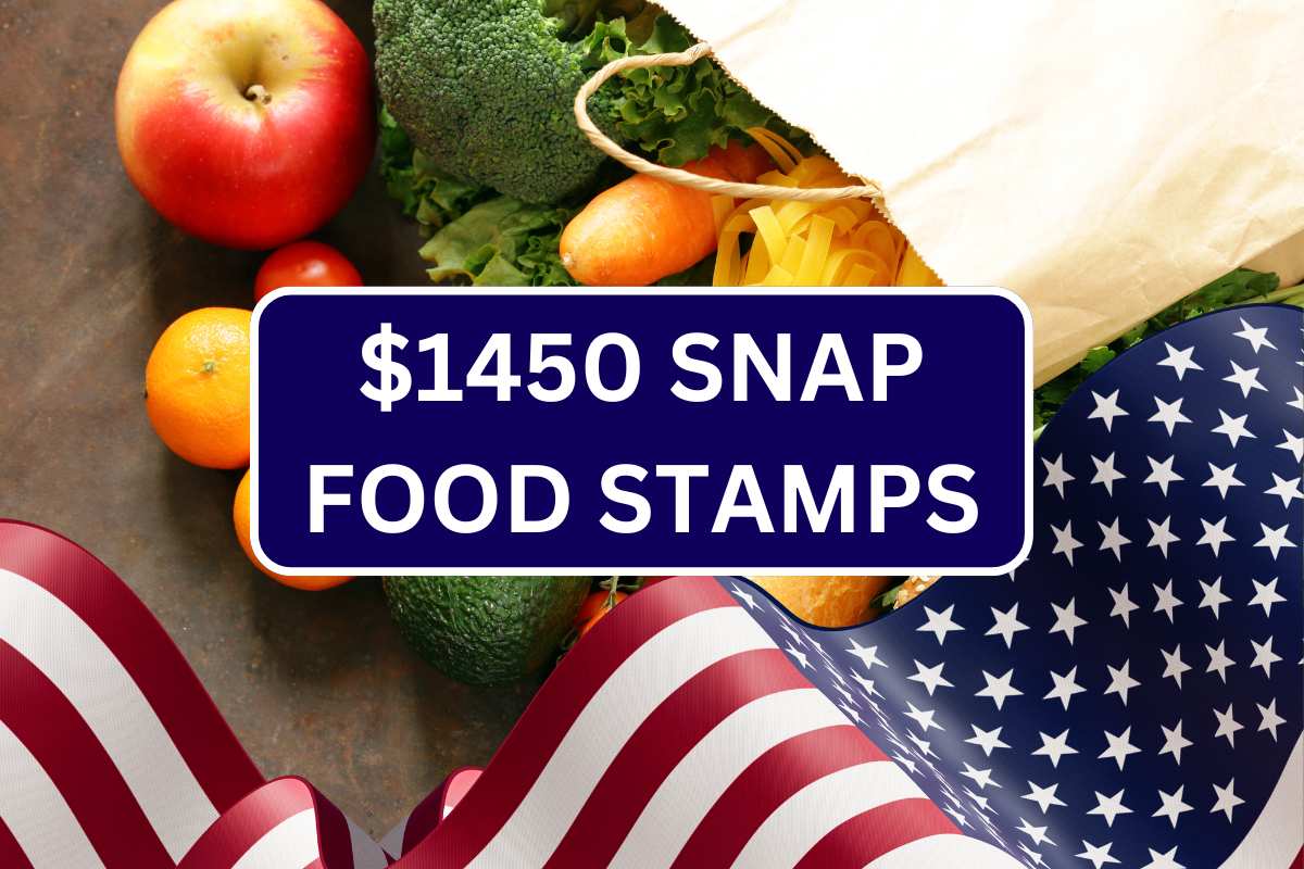 1450 SNAP Food Stamps July 2024 Check Payment Amount & Dates