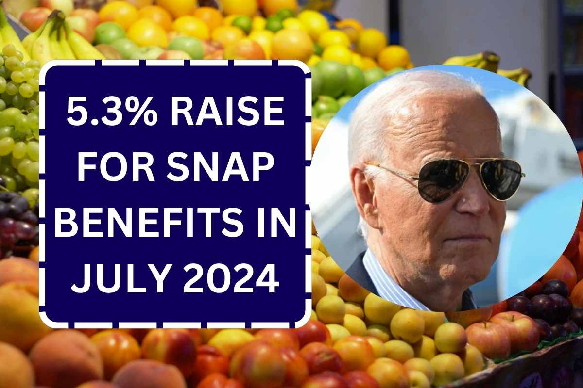 5.3 Raise For SNAP Benefits In July 2024 Check Payment Date Updates