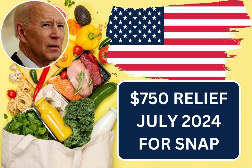 Food Stamp Benefit 2024 Nj Essa Ofella